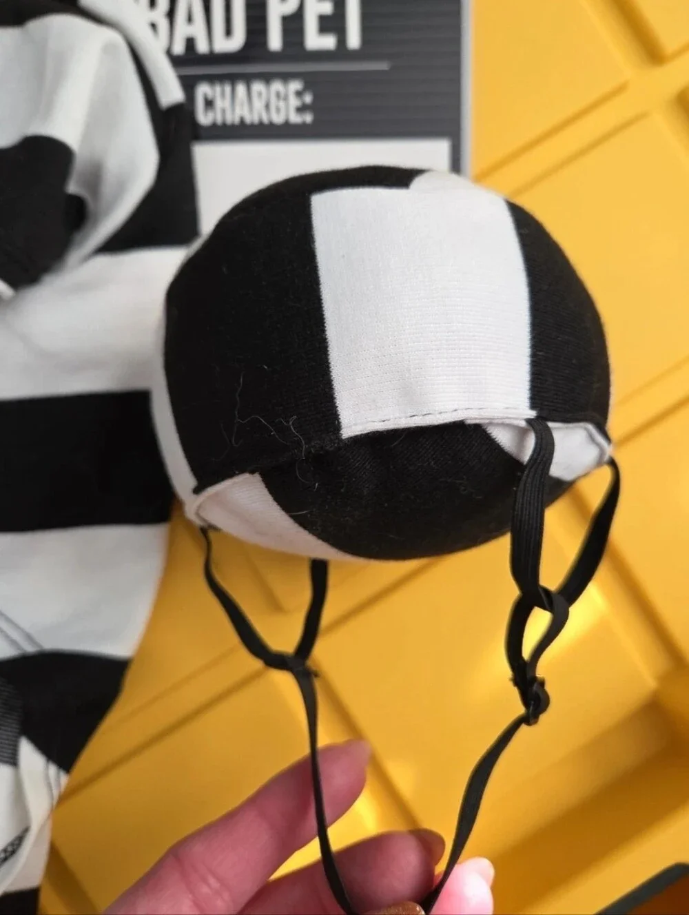 Pet Tentiary Prisoner Black & White Pet Costume
